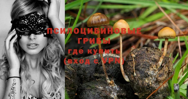 прущий лед Аркадак