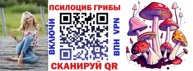 как найти   Лобня  мега вход  Галлюциногенные грибы Magic Shrooms 